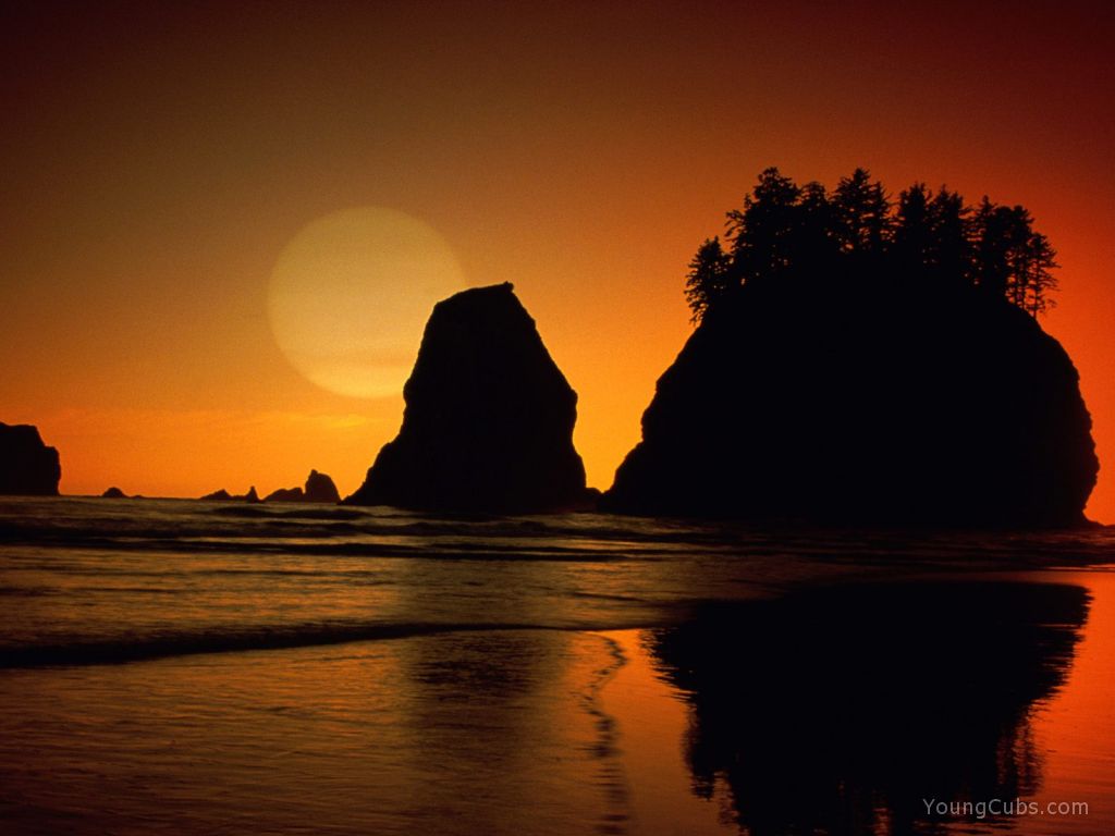 Second Beach, Olympic National Park, Washington